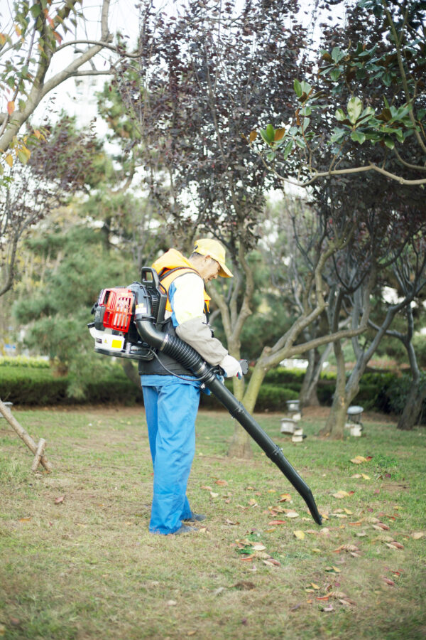 52CC 2-Cycle Gas Backpack Leaf Blower with extention tube - Image 10